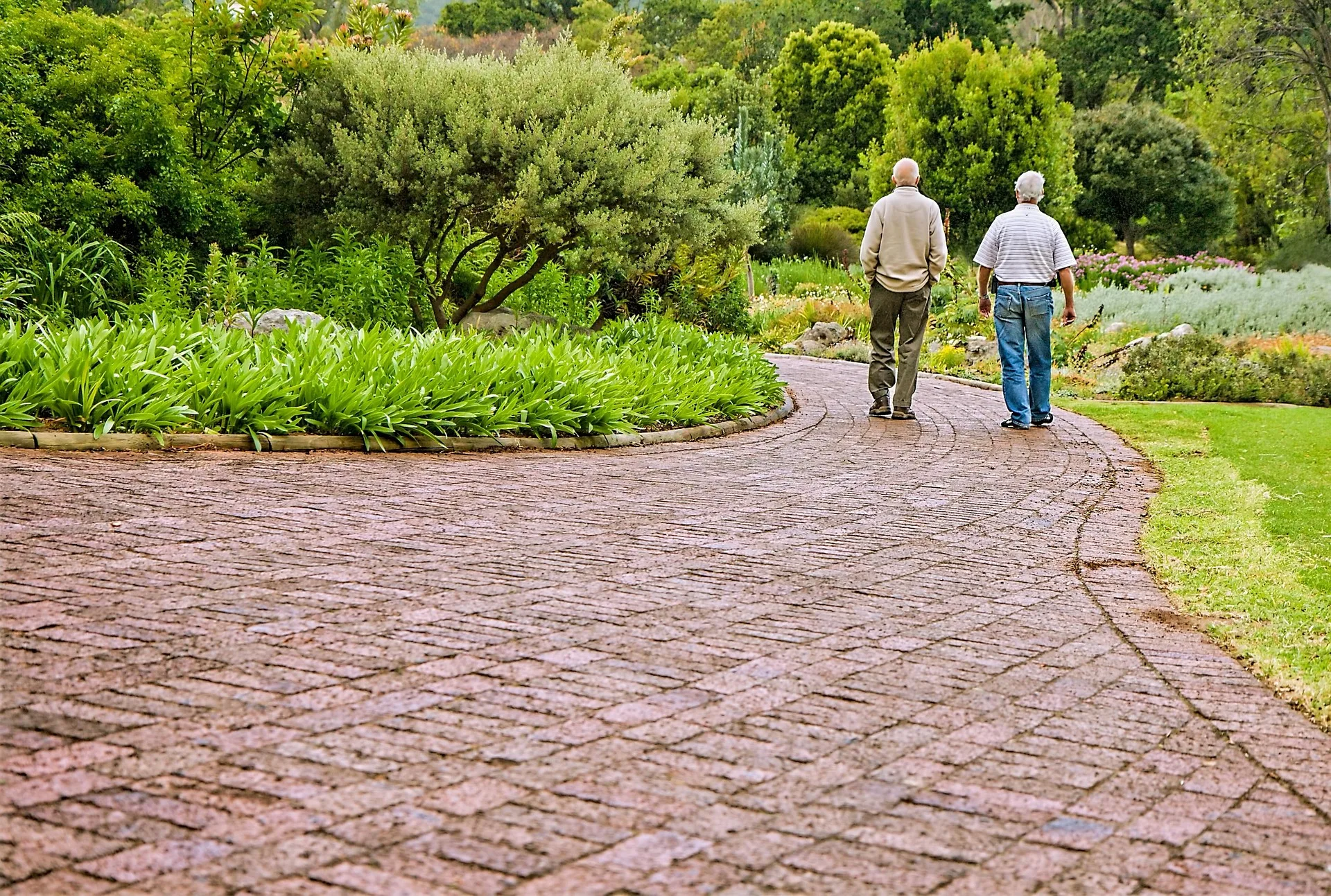 Deux personnes âgées se promènent ensemble dans un jardin, image d’illustration.